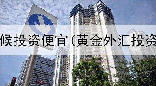  黄金啥时候投资便宜(黄金外汇投资人民币)
