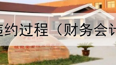  泛海控股债券违约过程（财务会计计算债券公式）