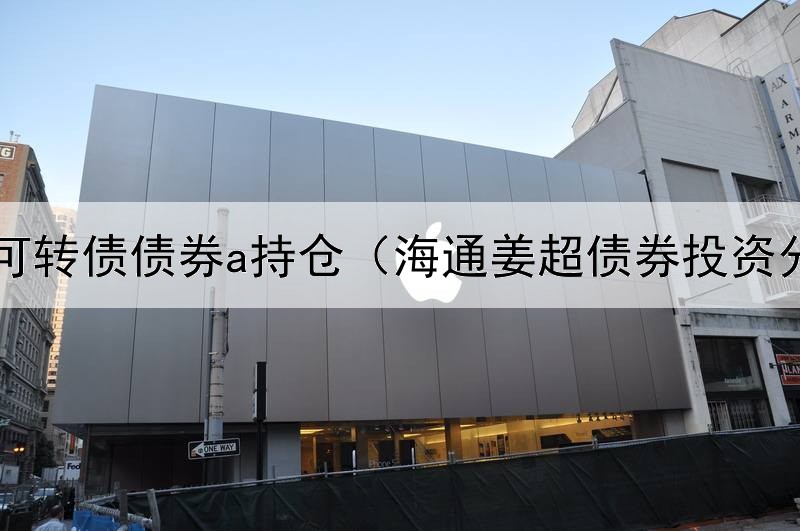  广发可转债债券a持仓（海通姜超债券投资分析）