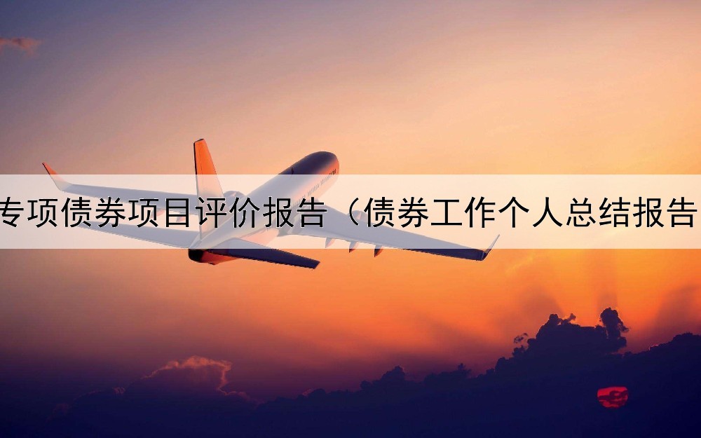  专项债券项目评价报告（债券工作个人总结报告）