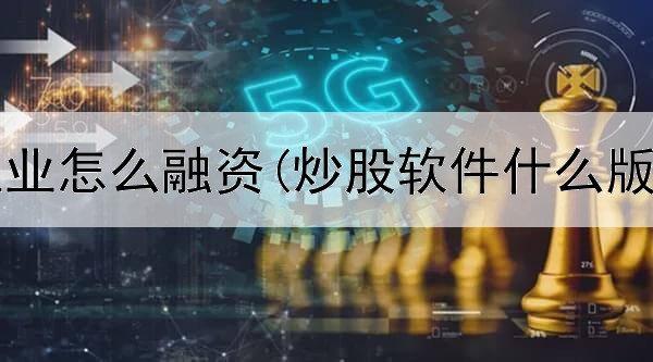  炒股做主业怎么融资(炒股软件什么版本好用)