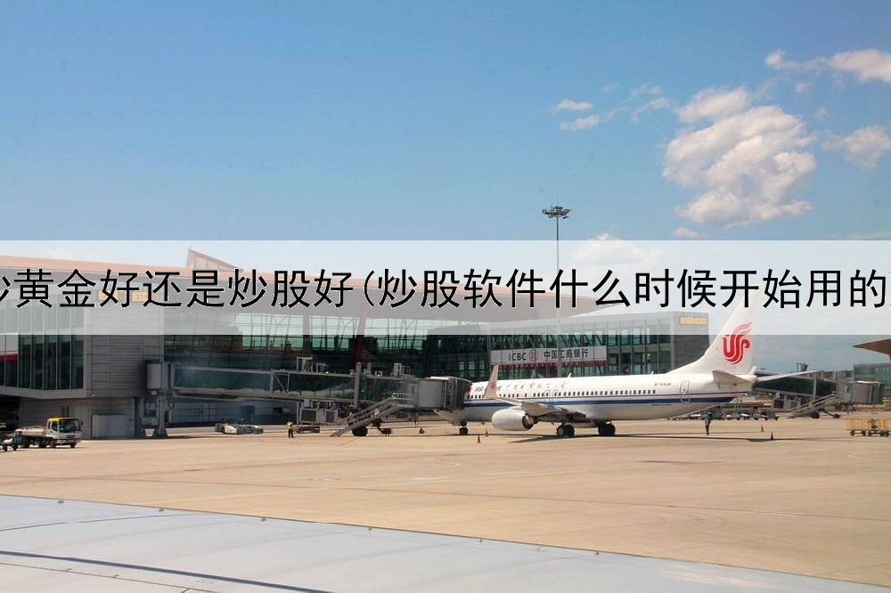  炒黄金好还是炒股好(炒股软件什么时候开始用的)
