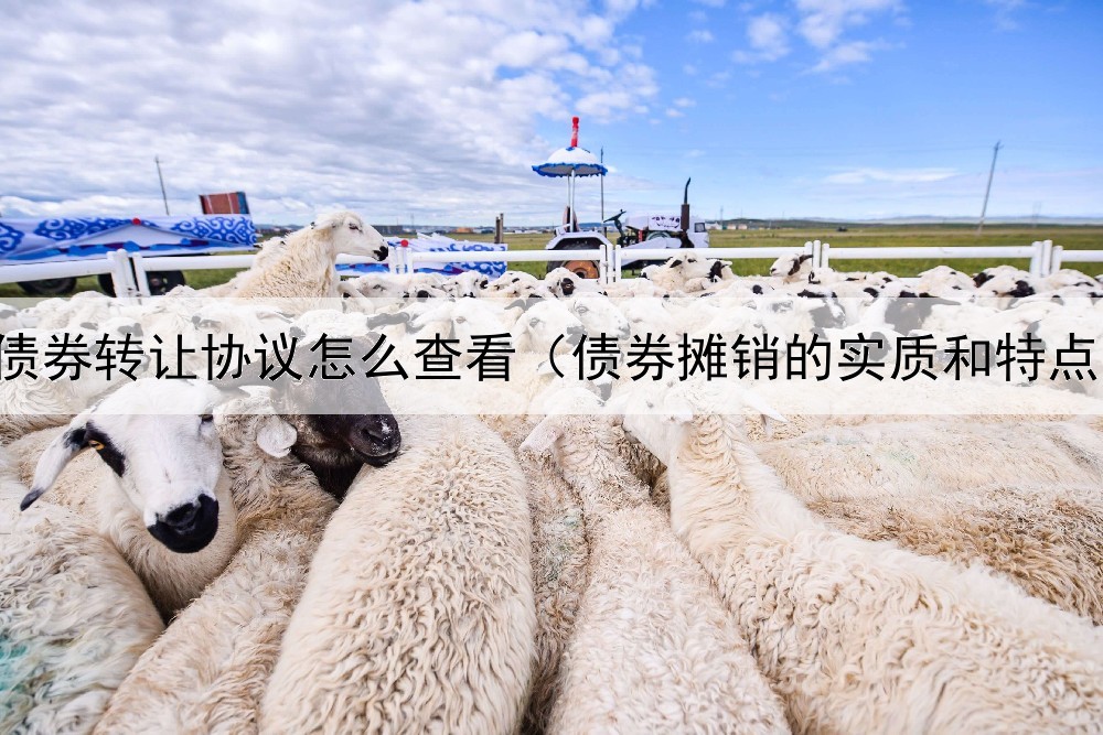  债券转让协议怎么查看（债券摊销的实质和特点）