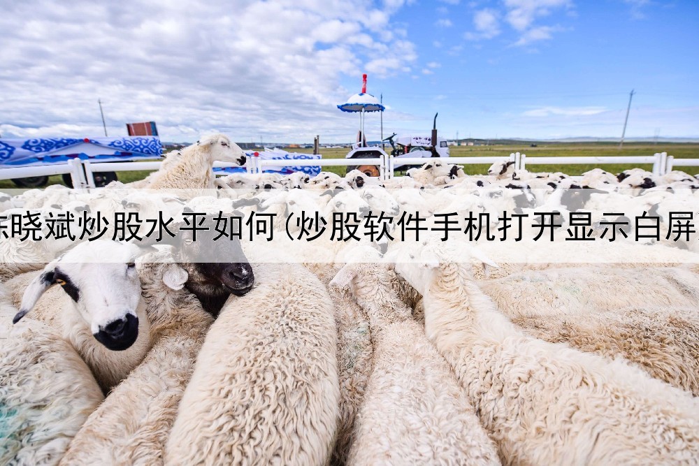  陈晓斌炒股水平如何(炒股软件手机打开显示白屏)