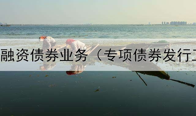  企业如何融资债券业务（专项债券发行工作总结）