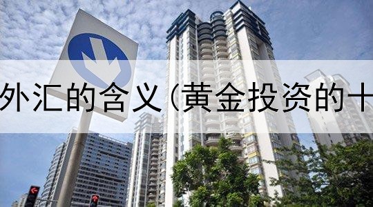  投资黄金外汇的含义(黄金投资的十大忠告)