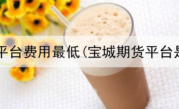  期货哪家平台费用最低(宝城期货平台是真的吗)
