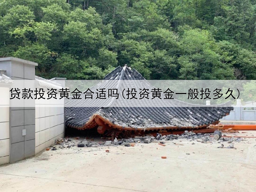  贷款投资黄金合适吗(投资黄金一般投多久)