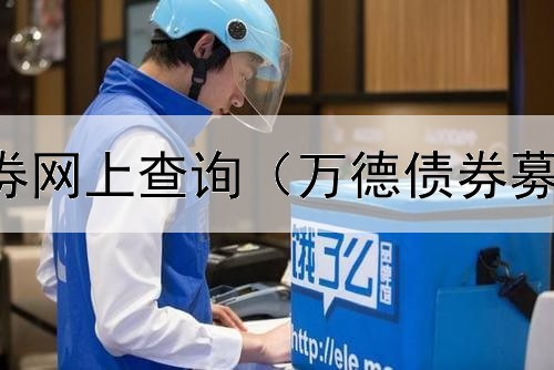  安徽政府债券网上查询（万德债券募集在哪查找）