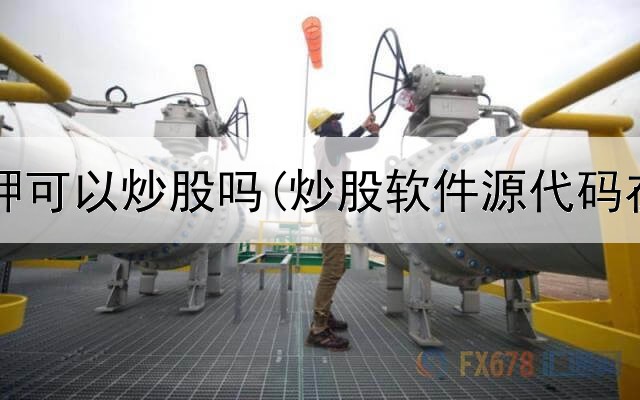  存款质押可以炒股吗(炒股软件源代码在哪看)
