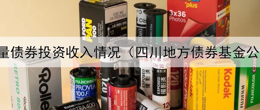  存量债券投资收入情况（四川地方债券基金公司）