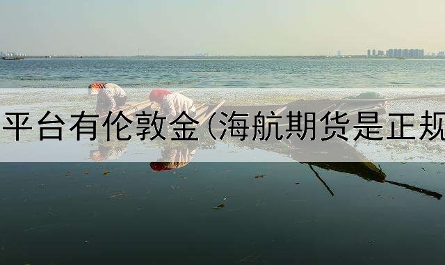  哪个期货平台有伦敦金(海航期货是正规平台吗)