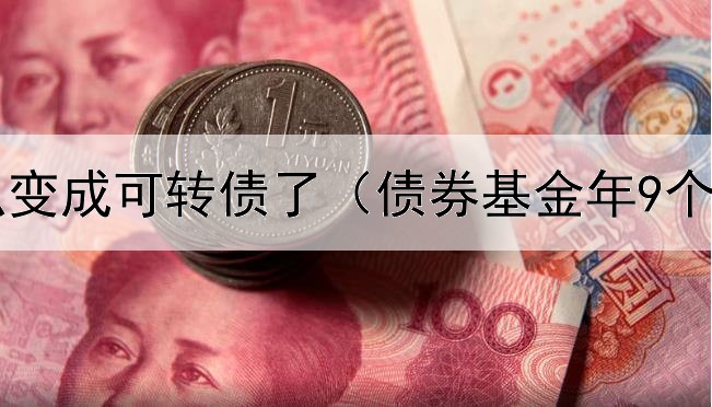  债券怎么变成可转债了（债券基金年9个点推荐）