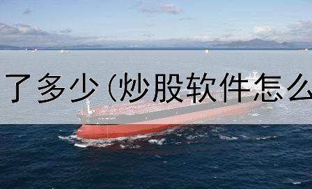  大家炒股都赔了多少(炒股软件怎么分析成长性)