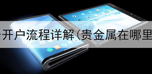  贵金属投资开户流程详解(贵金属在哪里可以交易)