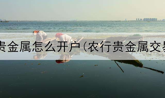  银行白银贵金属怎么开户(农行贵金属交易的软件)