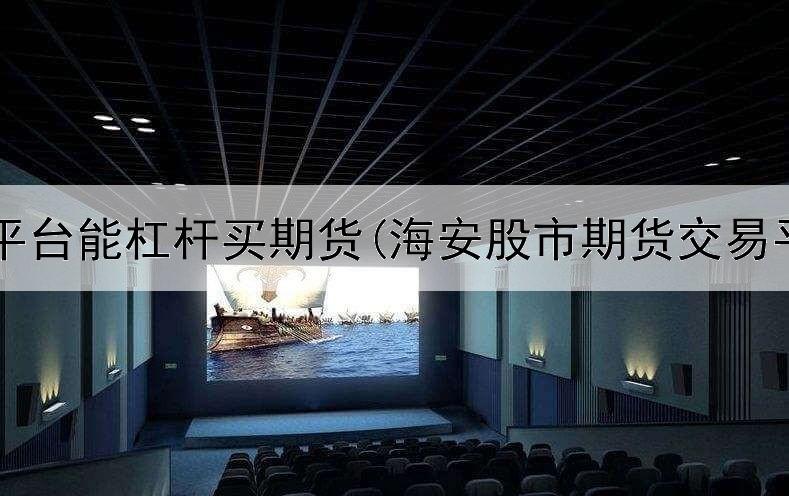  哪个平台能杠杆买期货(海安股市期货交易平台)