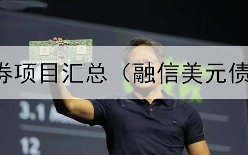  支持专项债券项目汇总（融信美元债券价格行情）
