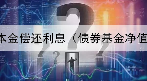  政府债券本金偿还利息（债券基金净值型的好么）