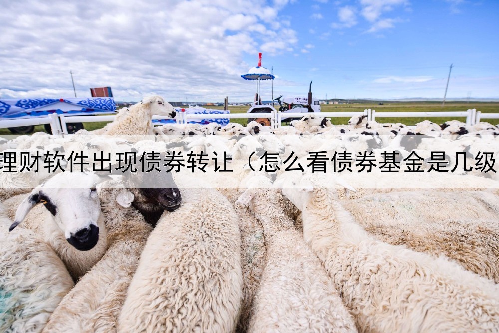  理财软件出现债券转让（怎么看债券基金是几级）