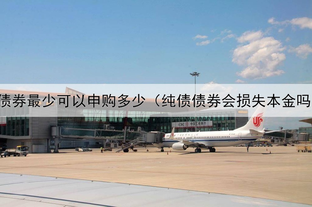  债券最少可以申购多少（纯债债券会损失本金吗）