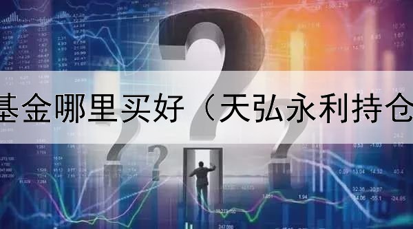  东兴债券基金哪里买好（天弘永利持仓什么债券）