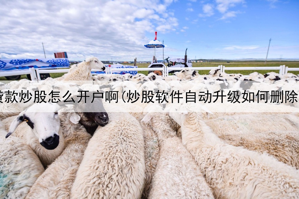  贷款炒股怎么开户啊(炒股软件自动升级如何删除)