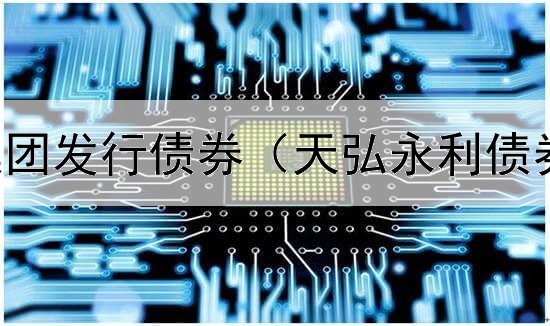  南阳投资集团发行债券（天弘永利债券如何查看）