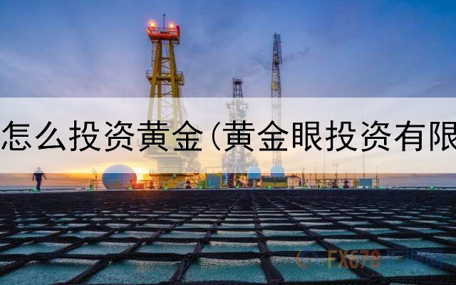  在银行怎么投资黄金(黄金眼投资有限公司)