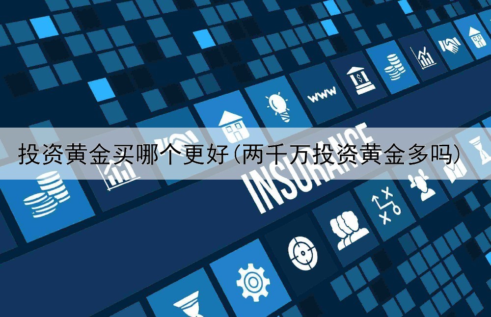  投资黄金买哪个更好(两千万投资黄金多吗)