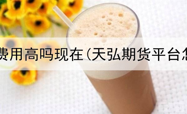  期货平台费用高吗现在(天弘期货平台怎么样啊)