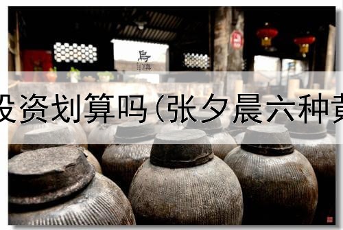  购买黄金投资划算吗(张夕晨六种黄金投资)