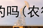  贵金属开户送银是真的吗(农行贵金属交易赚钱吗)