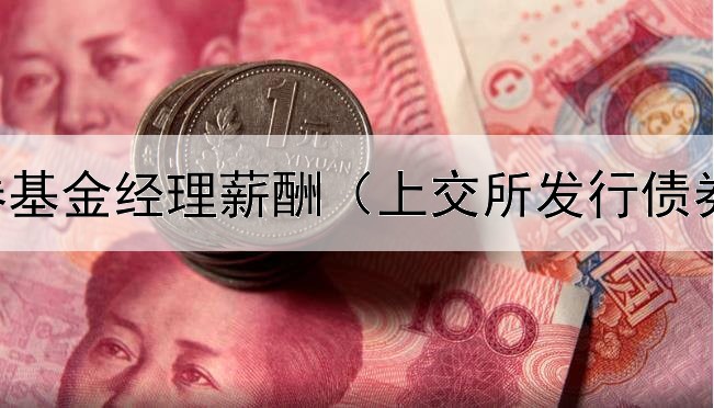  美元债券基金经理薪酬（上交所发行债券类型为）