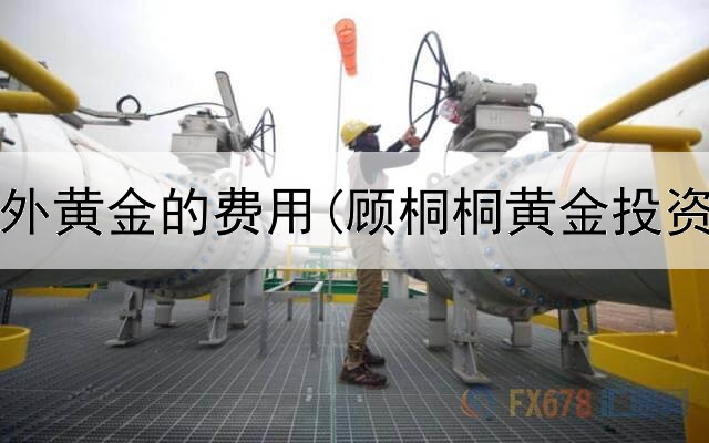  投资海外黄金的费用(顾桐桐黄金投资方法)