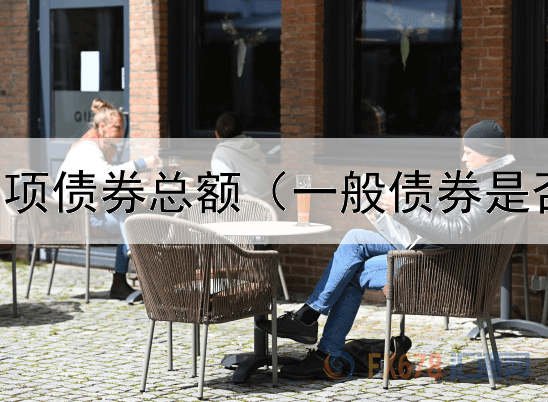  乡村振兴专项债券总额（一般债券是否纳入项目）