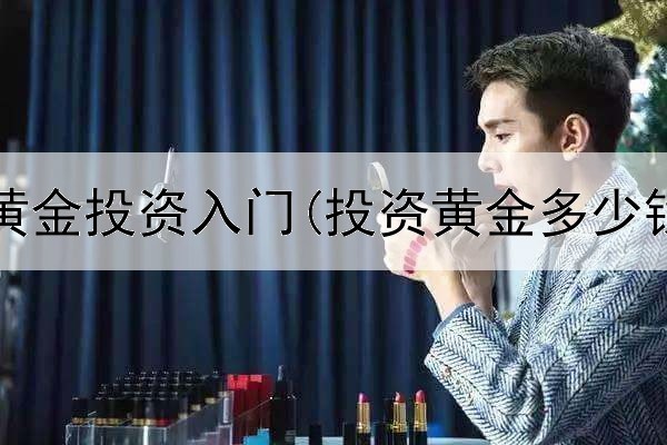  工行纸黄金投资入门(投资黄金多少钱一块)