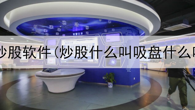  独角兽AI炒股软件(炒股什么叫吸盘什么叫复盘)