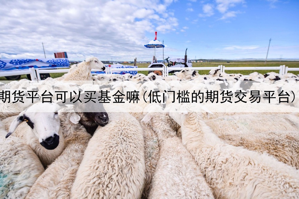  期货平台可以买基金嘛(低门槛的期货交易平台)