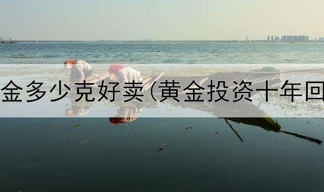  投资黄金多少克好卖(黄金投资十年回报率)