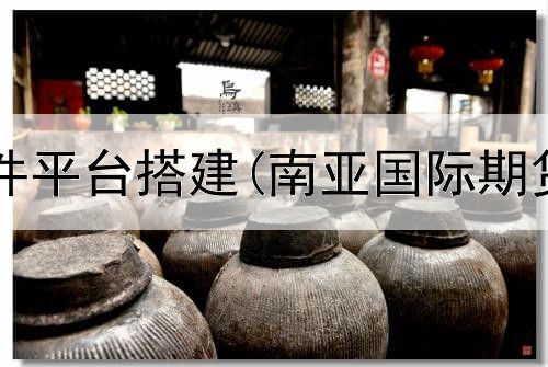  国际期货软件平台搭建(南亚国际期货交易平台)