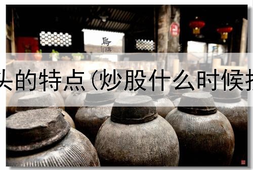  短线炒股龙头的特点(炒股什么时候投资最合适)