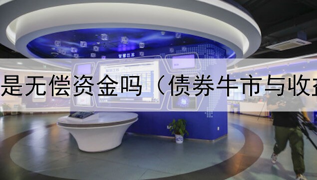  政府债券是无偿资金吗（债券牛市与收益率关系）
