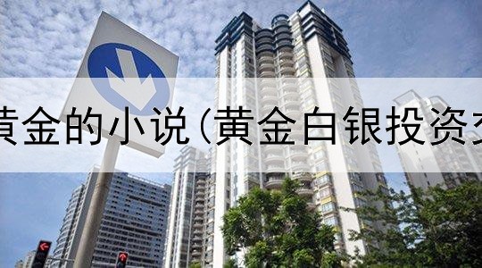  主角投资黄金的小说(黄金白银投资交易平台)