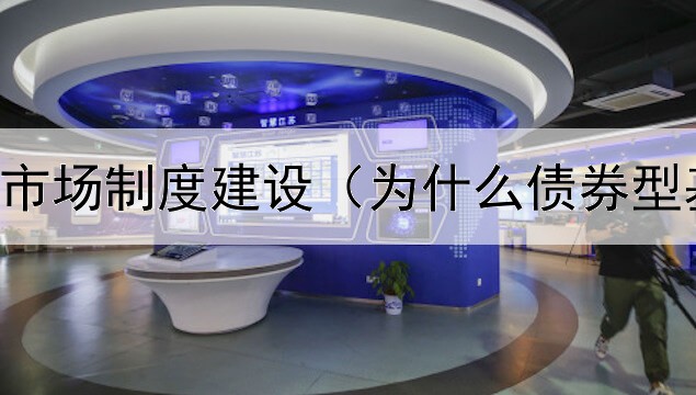  加强债券市场制度建设（为什么债券型基金都跌）