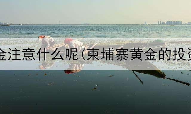  投资黄金注意什么呢(柬埔寨黄金的投资价值)