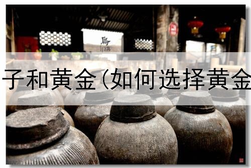  明星投资房子和黄金(如何选择黄金投资渠道)