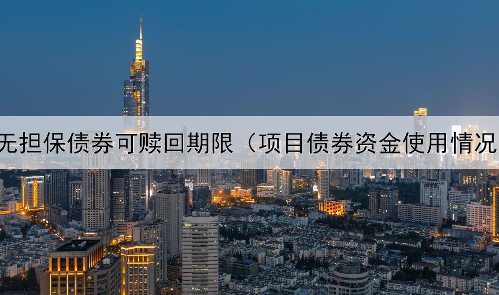  无担保债券可赎回期限（项目债券资金使用情况）