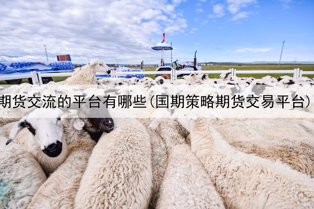  期货交流的平台有哪些(国期策略期货交易平台)