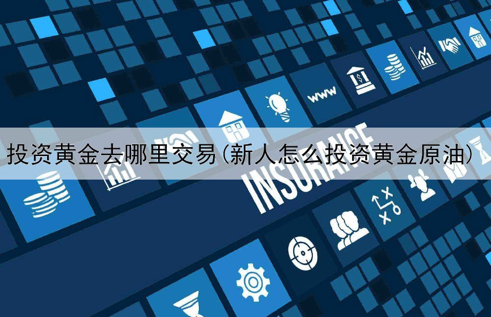  投资黄金去哪里交易(新人怎么投资黄金原油)